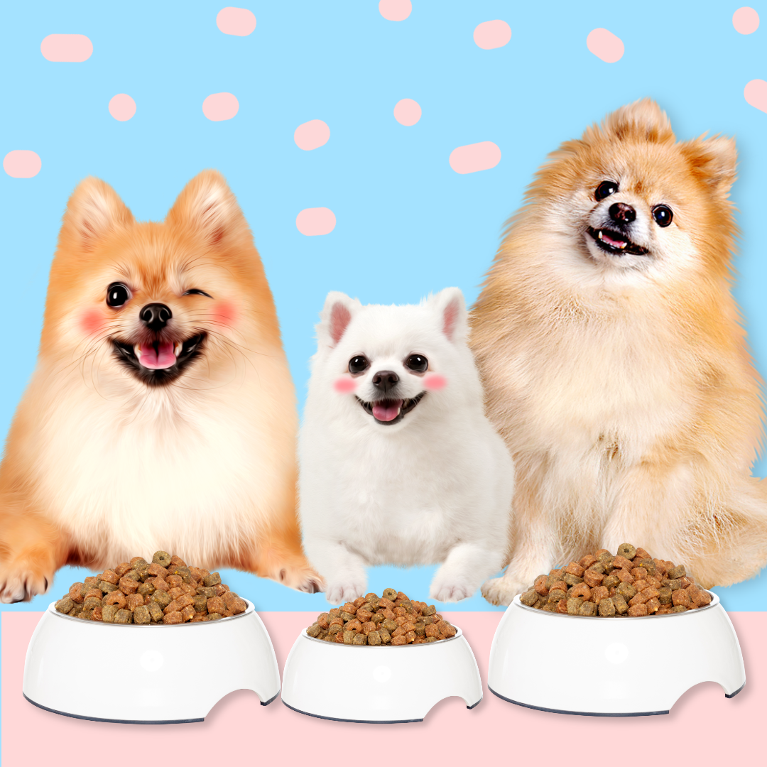 강아지 사료