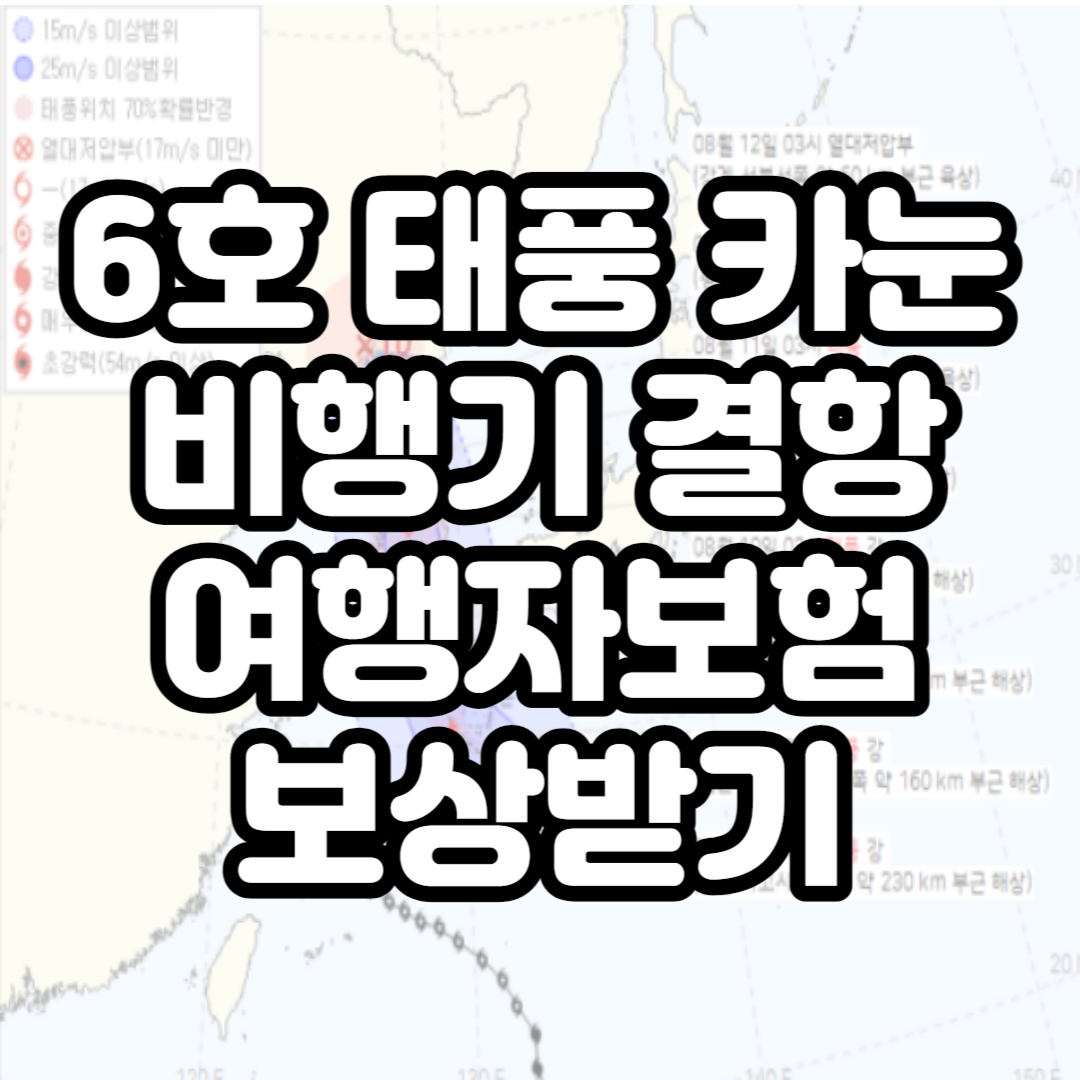 태풍 카눈 비행기 결항 정보, 여행자보험으로 보상받기