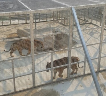 경북 구미 가볼만한곳 여행지 TOP 7곳