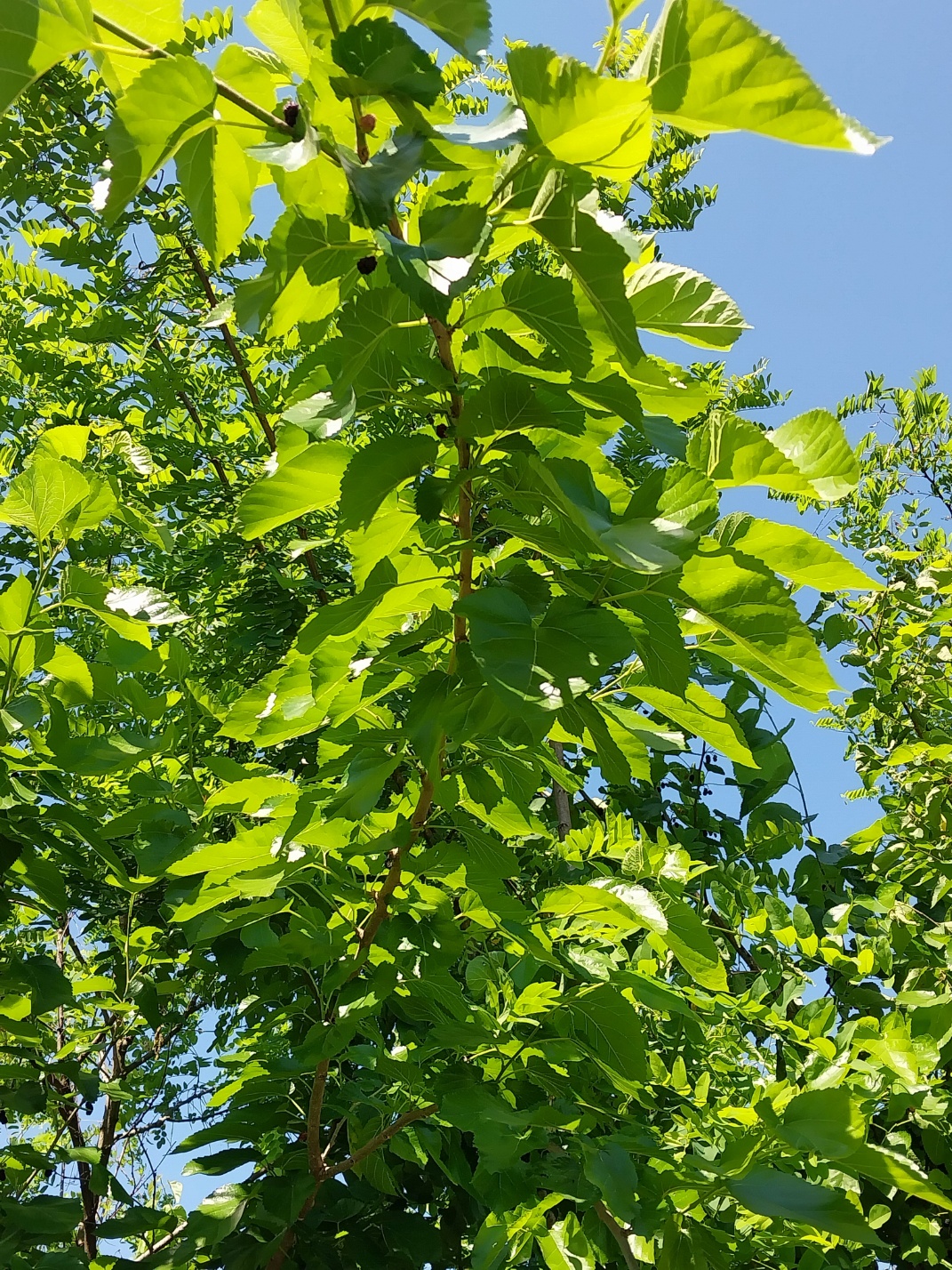 서울 근교 누구나 자전거와 걷기에 좋은 길