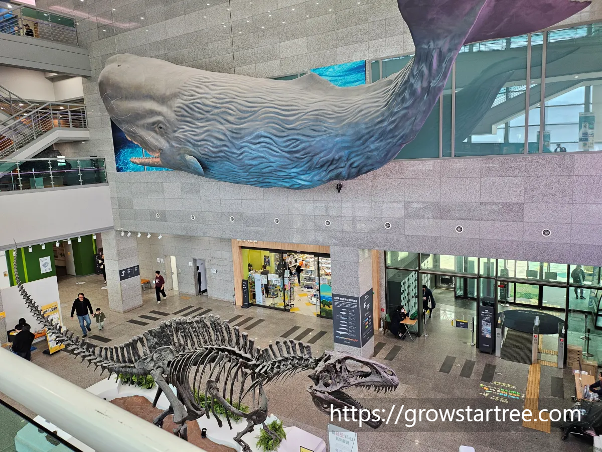 서대문자연사박물관 계단에서 바라본 중앙홀