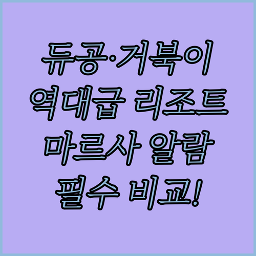 마르사 알람 숙소 추천 듀공과 바다거..