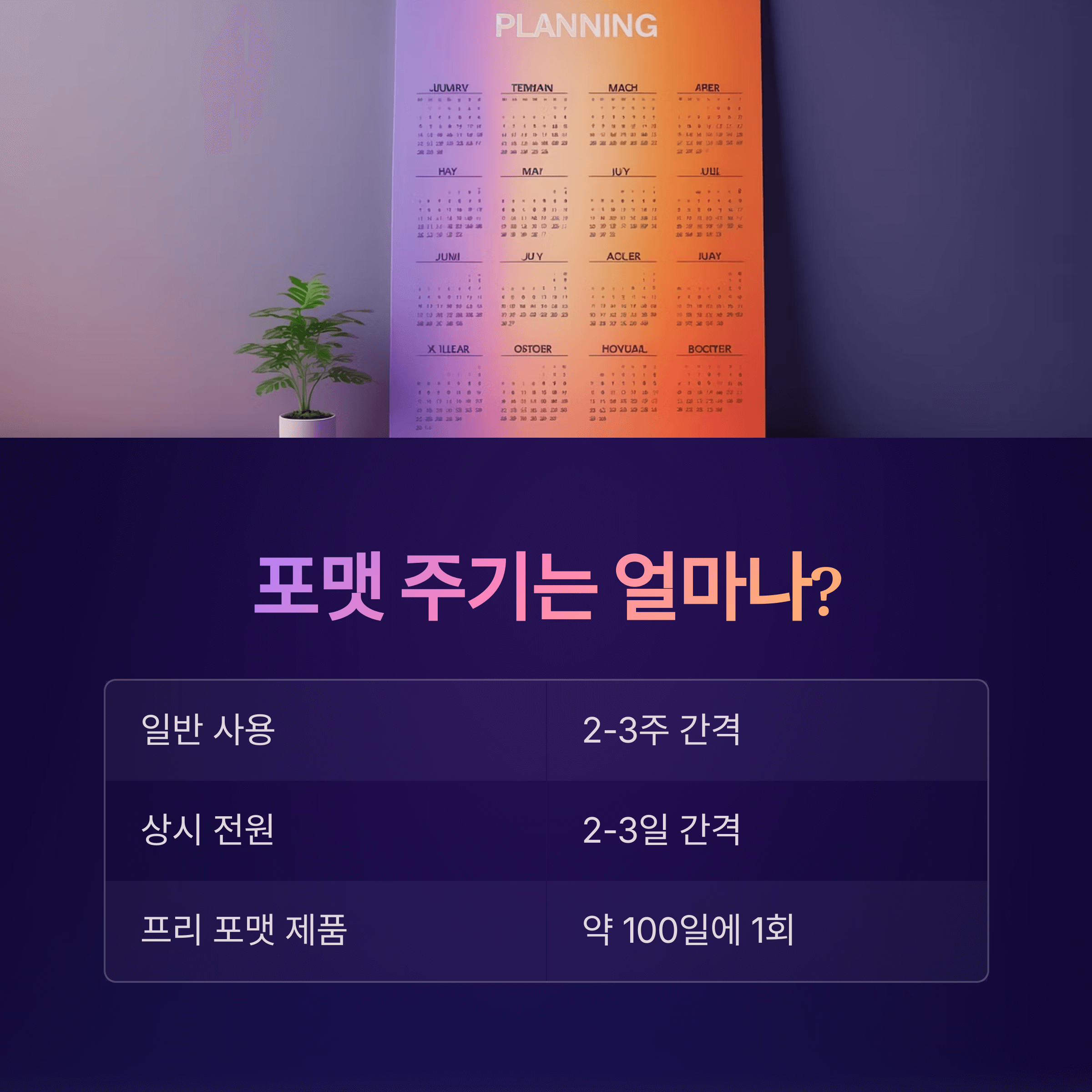 블랙박스 메모리카드 포맷 꿀팁