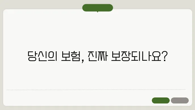 자동차보험 보상범위