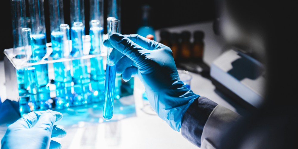 2025년 유망 투자 분야