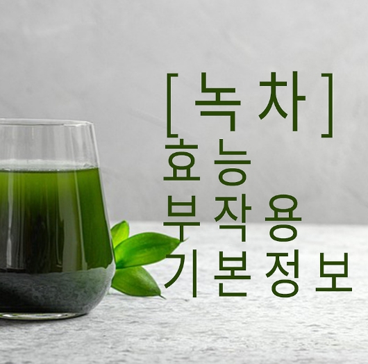 녹차이미지/사진