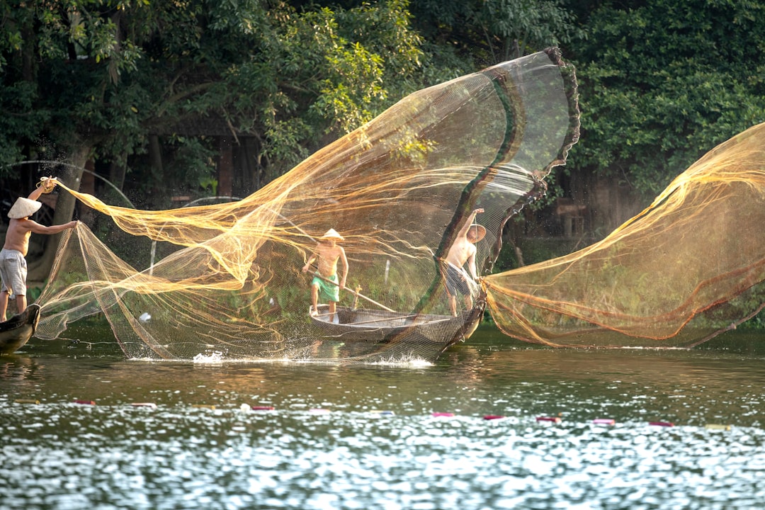 mosquito net
