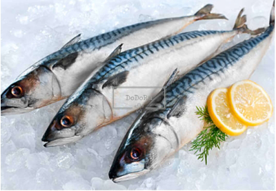 다이어트에-좋은-가을-제철음식-고등어