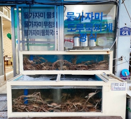 영덕-물가자미물회-항구식당