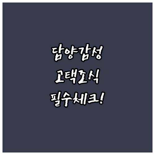 담양 메타세콰이어길 근처 감성 호텔과..