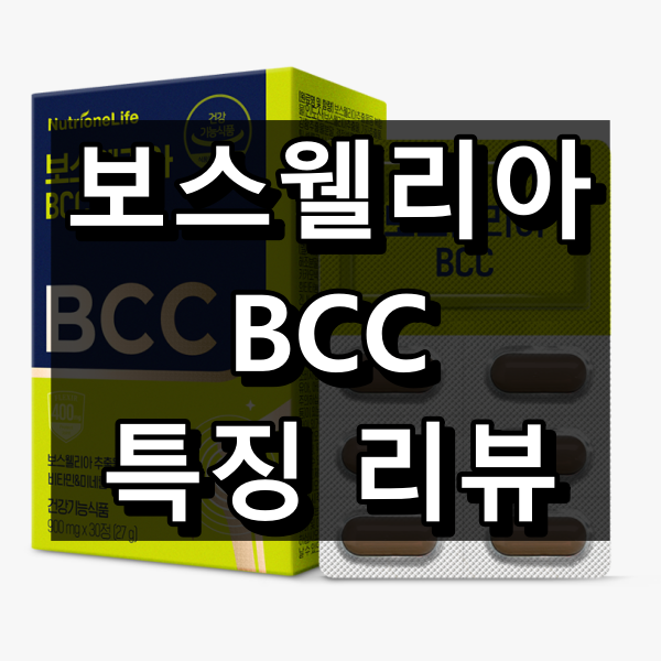 보스웰리아 BCC 특징 리뷰