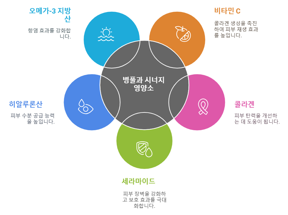 병풀과 함께 섭취하면 시너지 효과를 내는 영양소