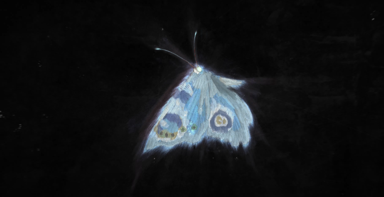 송소희 Hamba Kahle