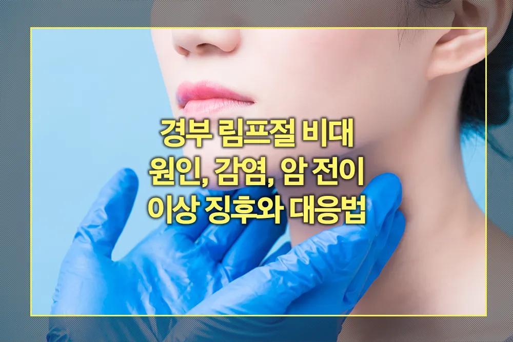 경부 림프절 비대 원인, 감염 이상 징후 대응법
