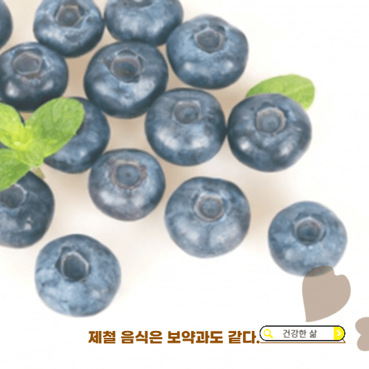 11월 제철과일