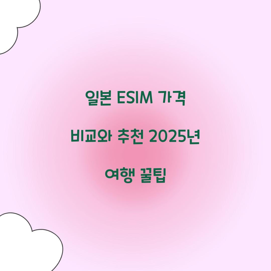 일본 ESIM 가격