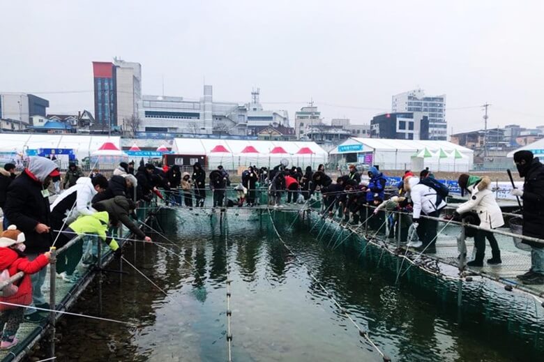 홍천강 꽁꽁 축제장에서 수많은 아이들과 어른들이 어장에 풀어놓은 송어를 잡기 위해서 낚시를 하고 있는 모습