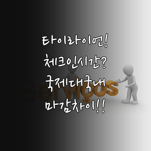 타이라이언에어 국제선 국내선 온라인 ..