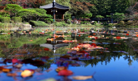 경주이미지