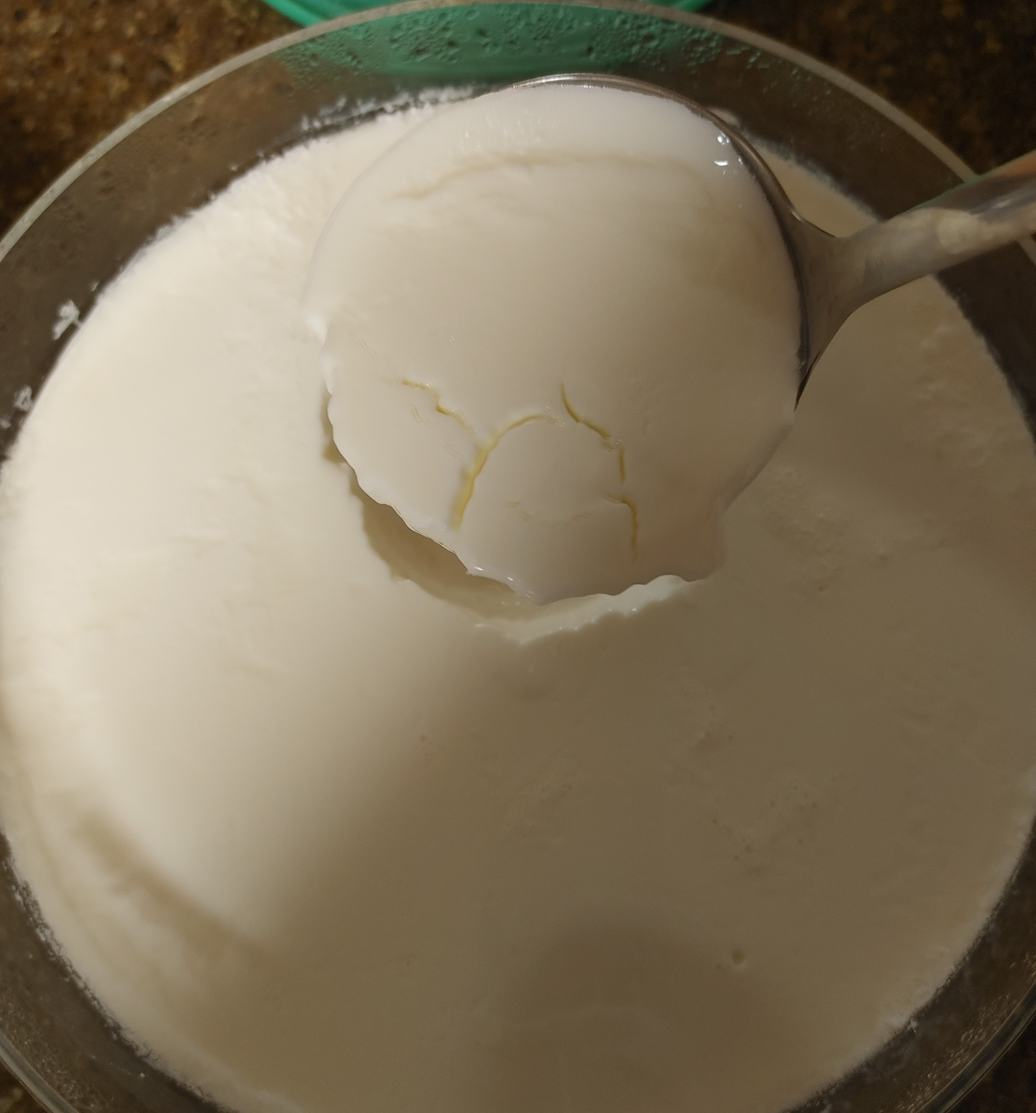 키토제닉을 위한 음식 그릭요거트 만드는 방법