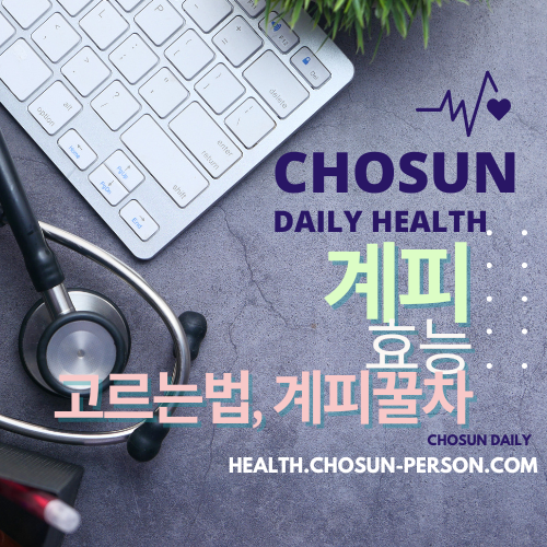 계피 가루 효능 먹는법 부작용 계피물 계피꿀차 효능 고르는법