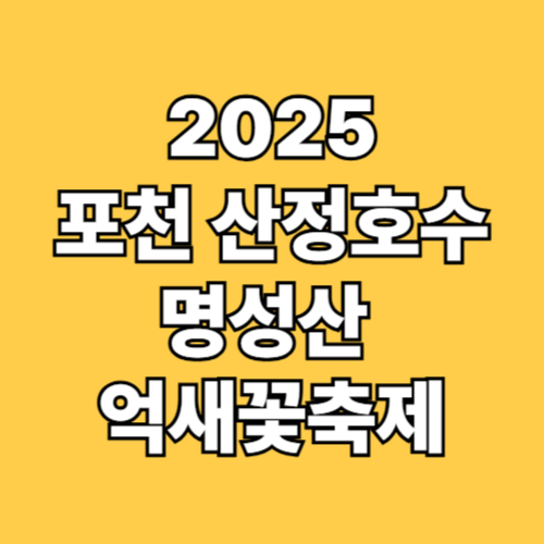 2025 포천 산정호수 명성산 억새꽃축제 일정