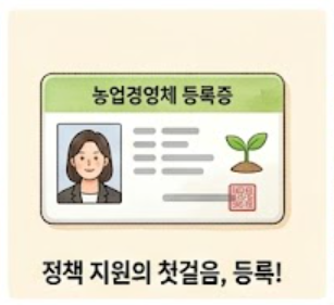 등록증 인포그래픽