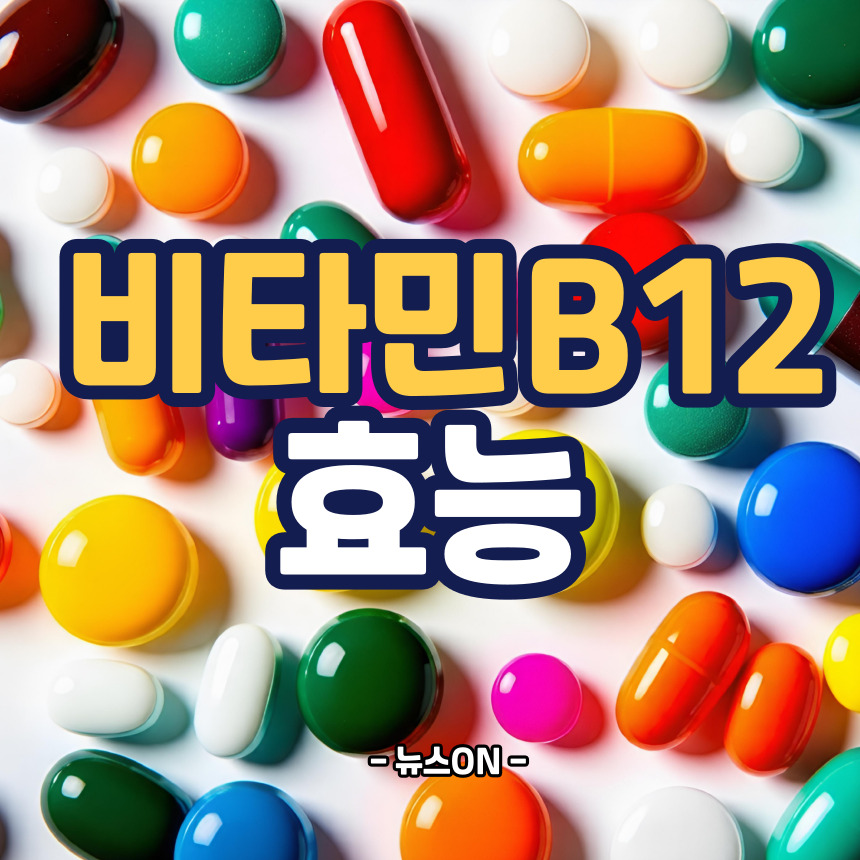 비타민 B12 효능