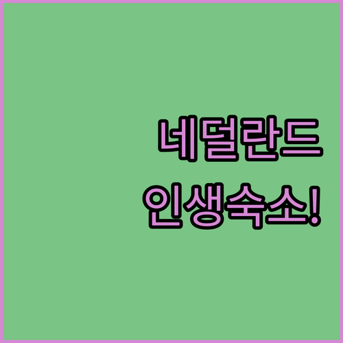 수상 위 하우스보트부터 전용 시네마까..