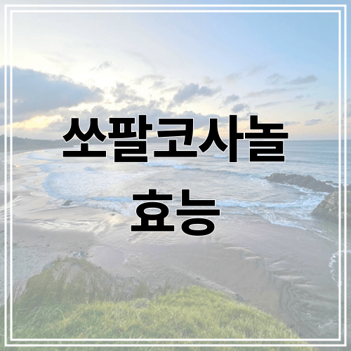 쏘팔코사놀 효능