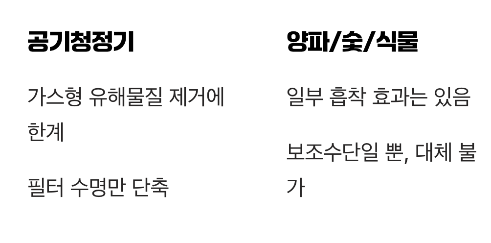 '공기청정기'와 '양파'의 진실