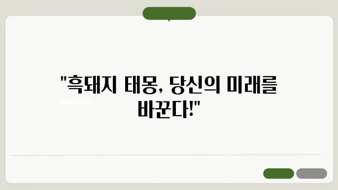흑돼지 태몽