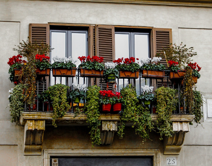 자투리 공간을 활용한 수직 정원 만들기 🏡