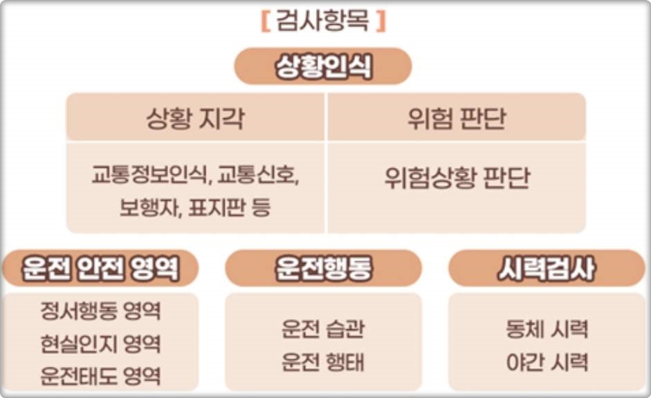 특별검사 검사항목