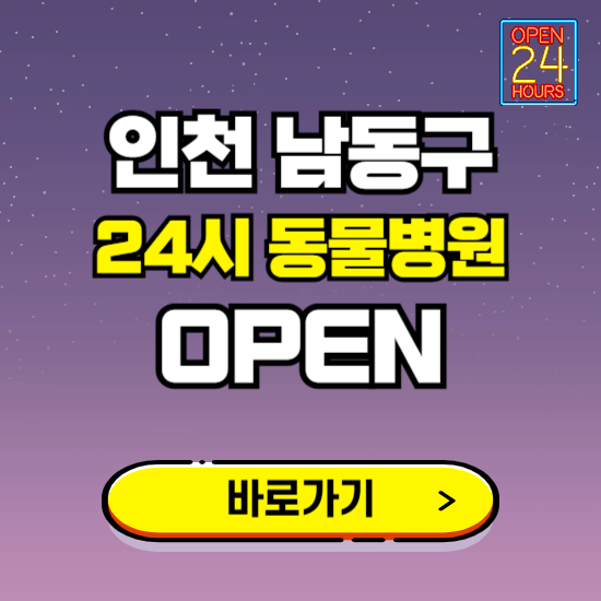 인천 남동구 24시 동물병원 진료하는 곳 ❘ 설날 휴일 야간 심야 문여는곳 찾기 ❘ 응급진료