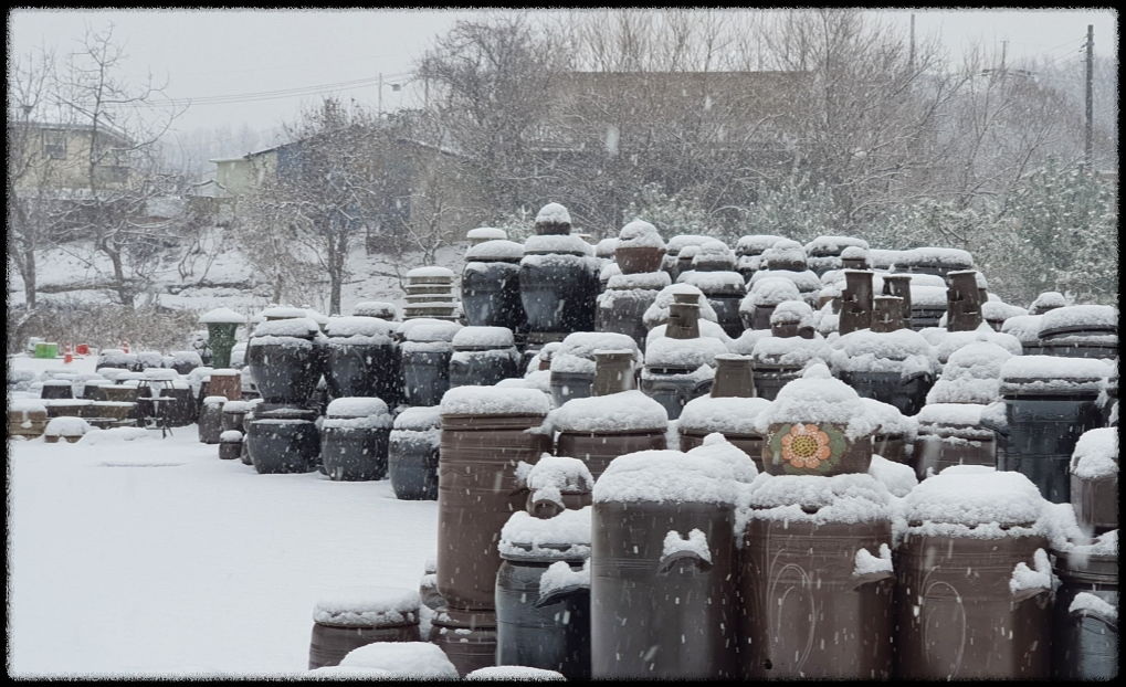 이천 테르메덴
