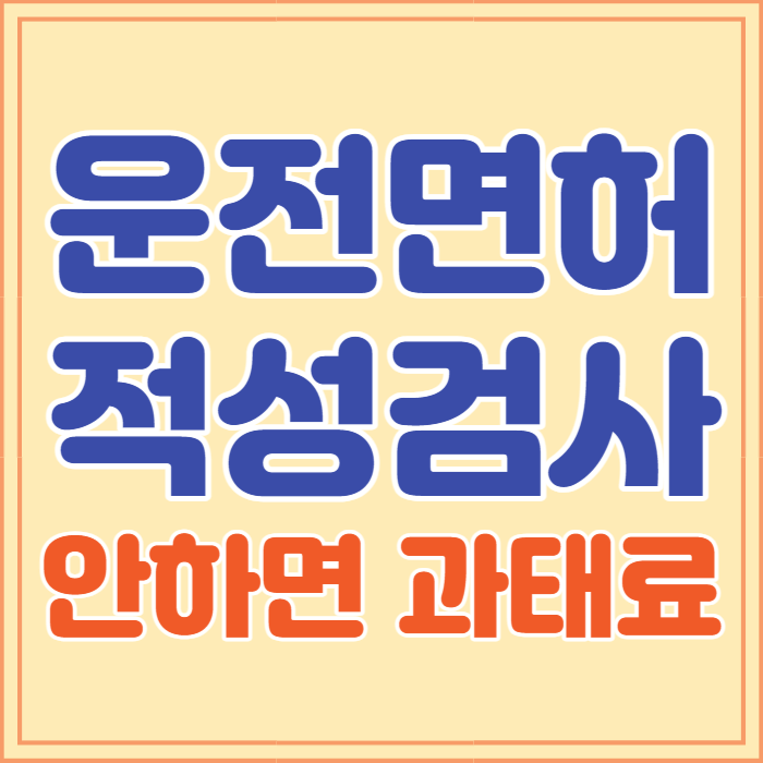 운전면허증 갱신 적성검사