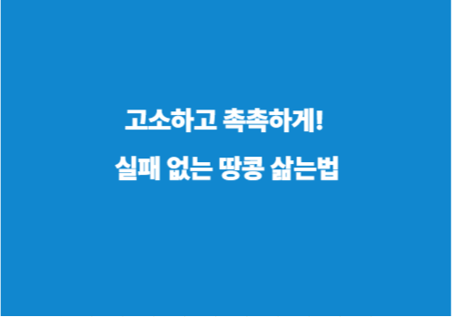 고소하고 촉촉하게! 실패 없는 땅콩 삶는법