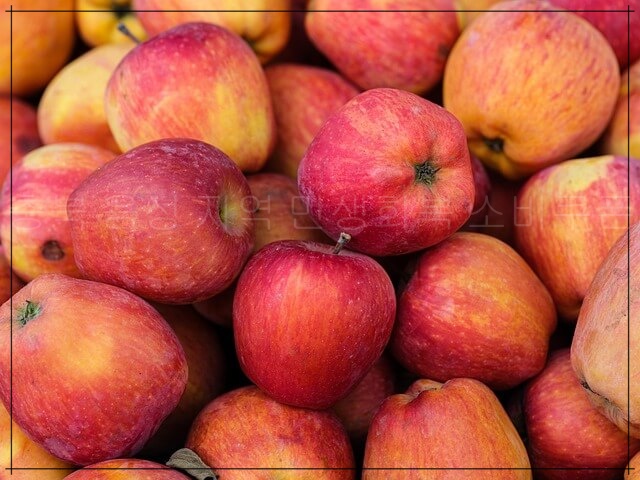 충북 음성 민생회복 소비쿠폰 사용처 총정리