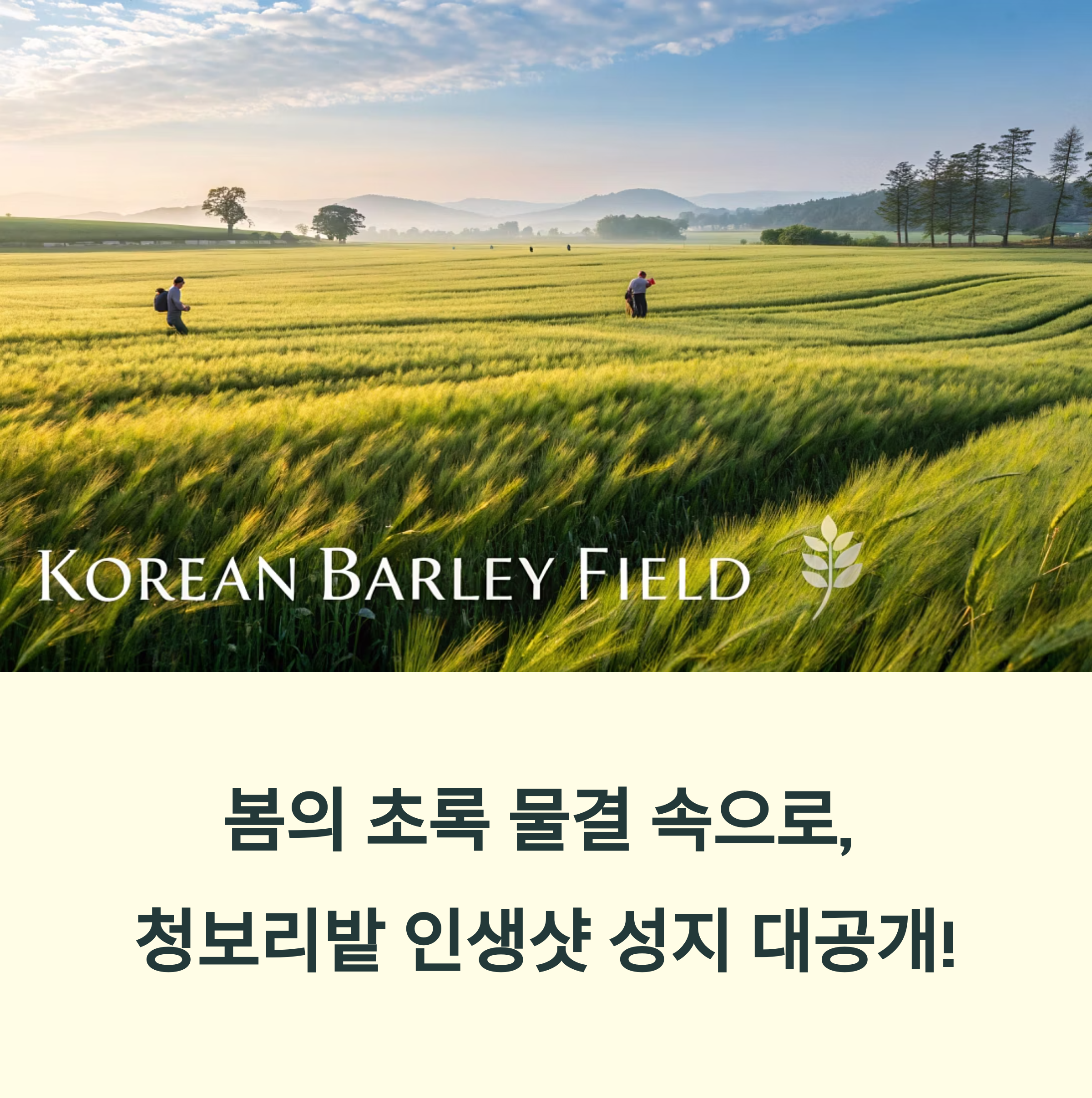 봄날 청보리밭 나들이, 인생샷 명소 총정리