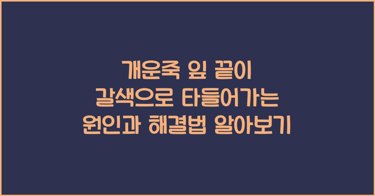 개운죽 잎 끝이 갈색으로 타들어가는 원인과 해결법