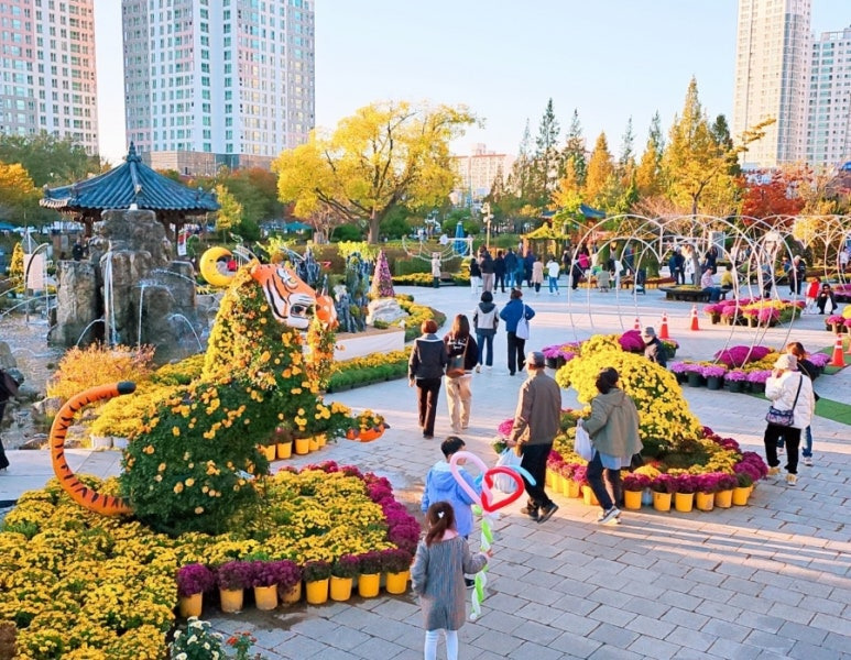 익산 천만송이 국화축제3