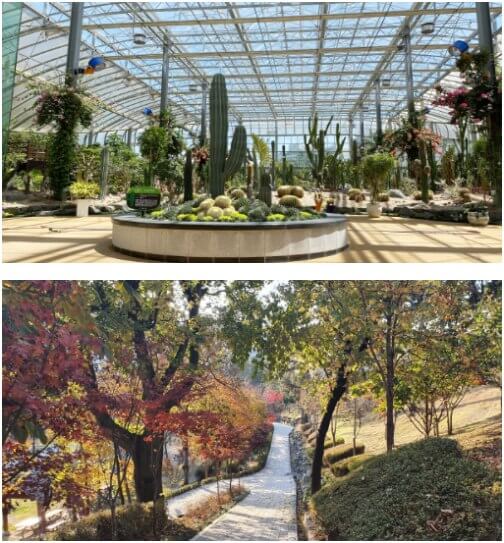 창원 수목원 선인장 온실과 산책로