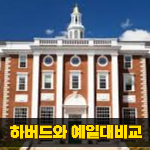 하버드와 예일 완벽 비교