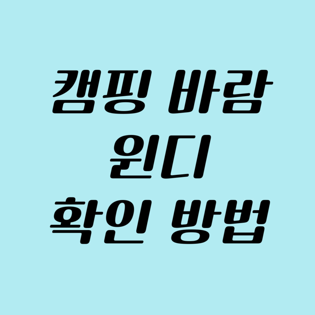 캠핑 바람 윈디 확인 방법