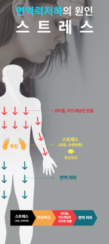 스트레스와 RUNX3