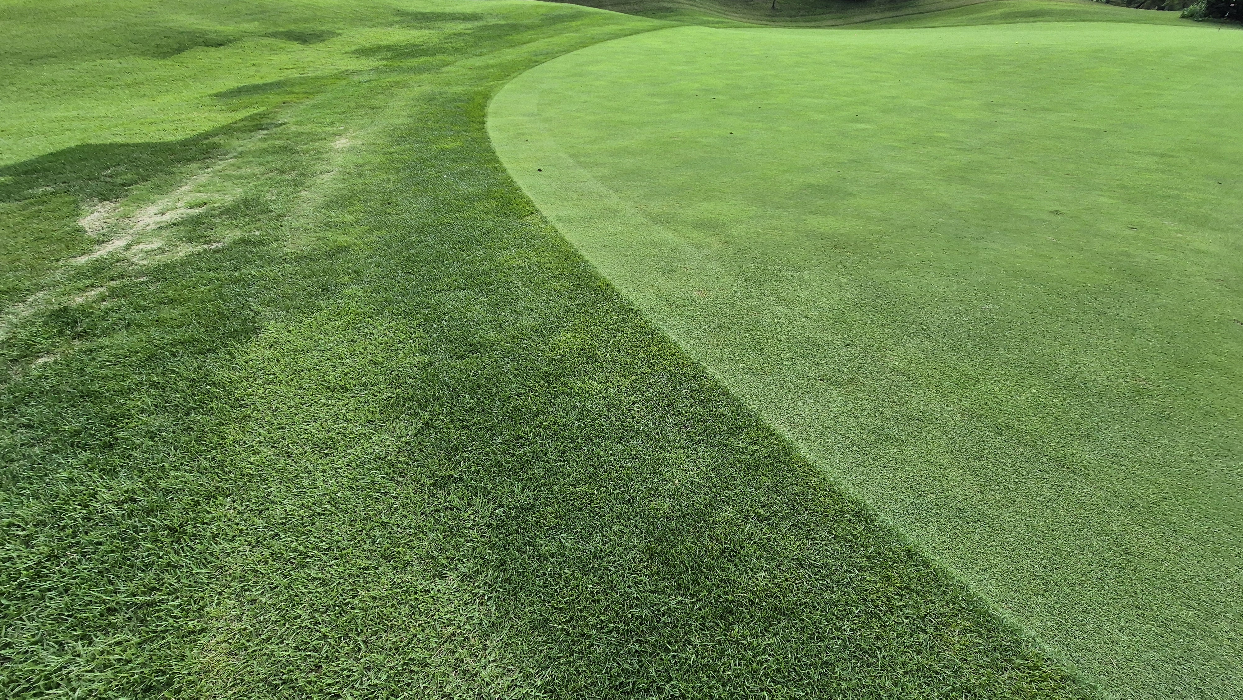 동원썬밸리cc 라운드 후기