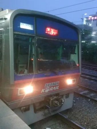 레츠코레일 회원 가입 방법_5