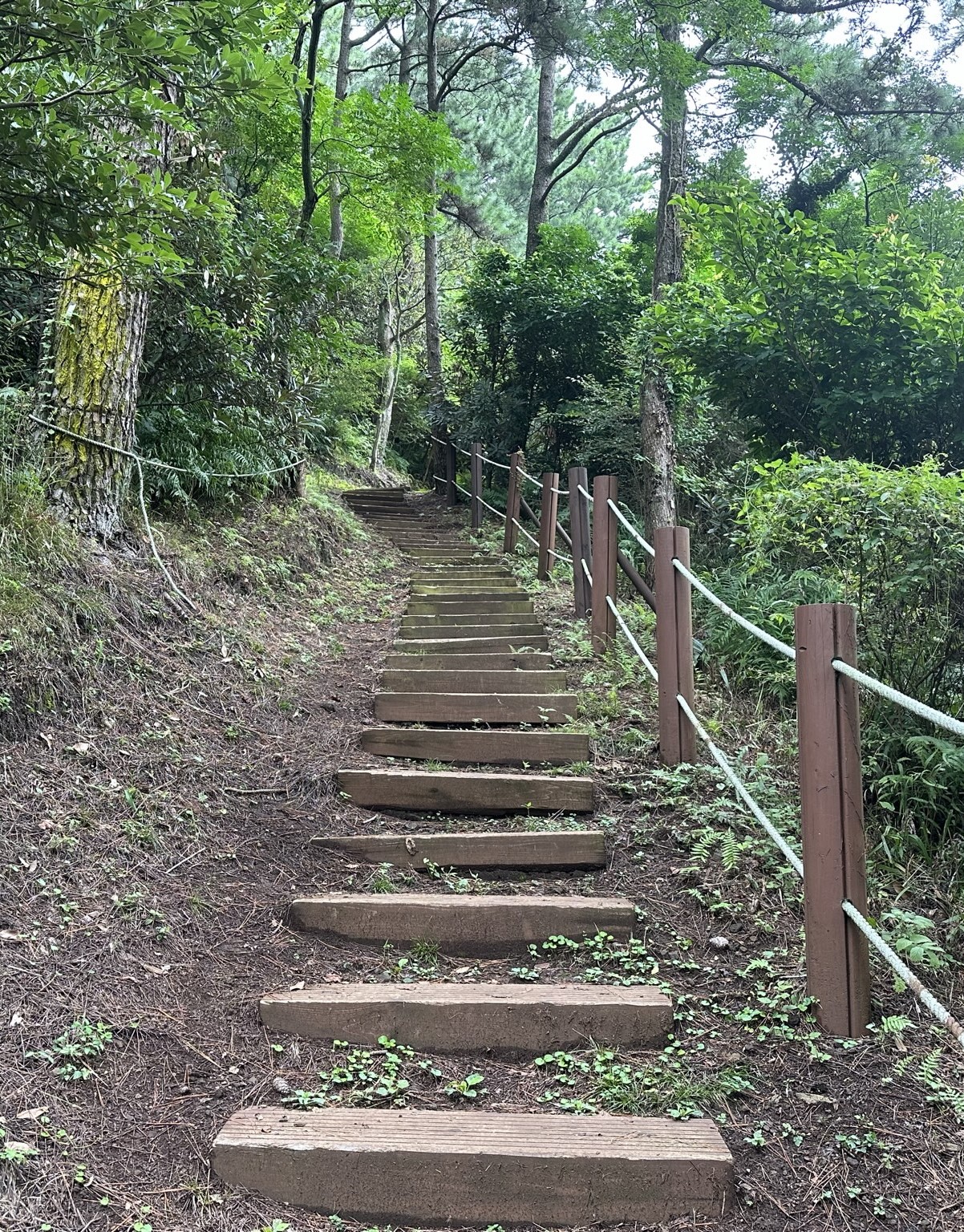 산책로
