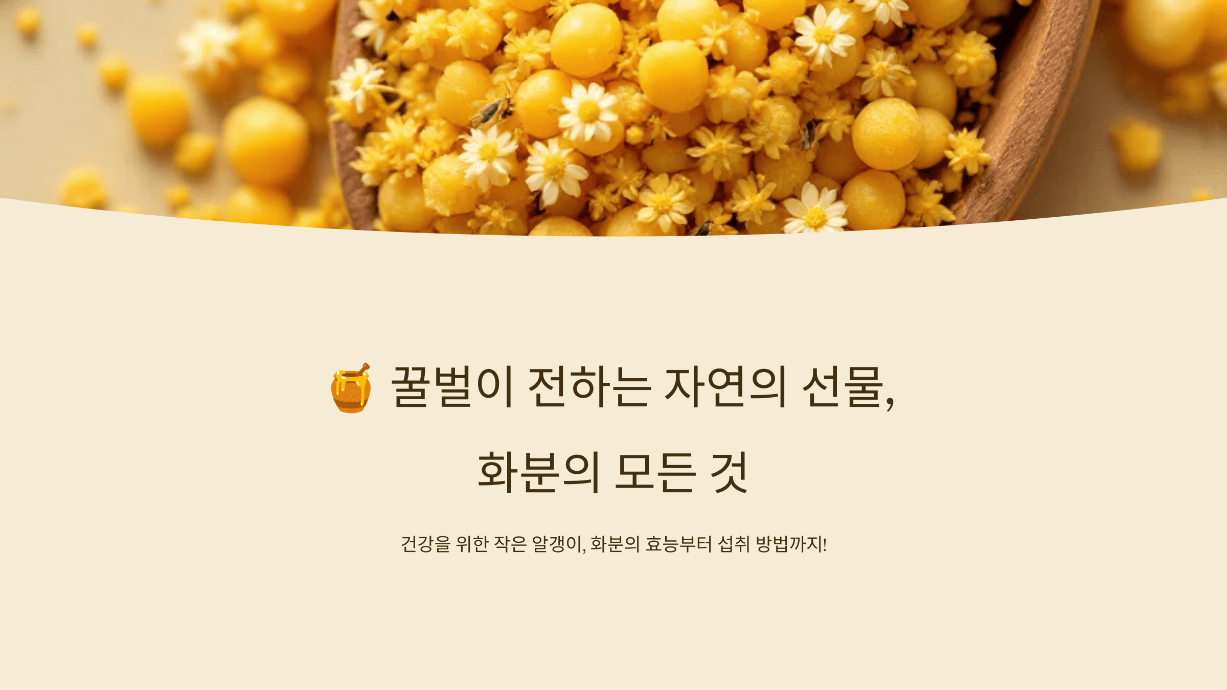 화분 사진입니다.